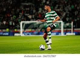 解析迈阿密马林鱼在加勒比海的深厚根基