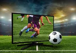 牛牛你是不是上头了（牛牛，你是不是冲昏头了？）